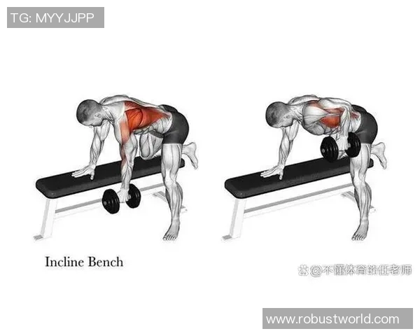 哑铃俯身臂屈伸的正确姿势与训练效果解析图解